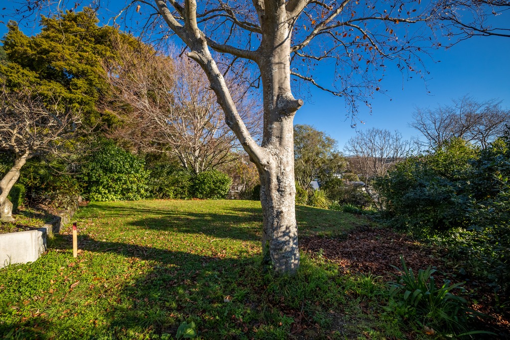 7 Endeavour Street — photo 13