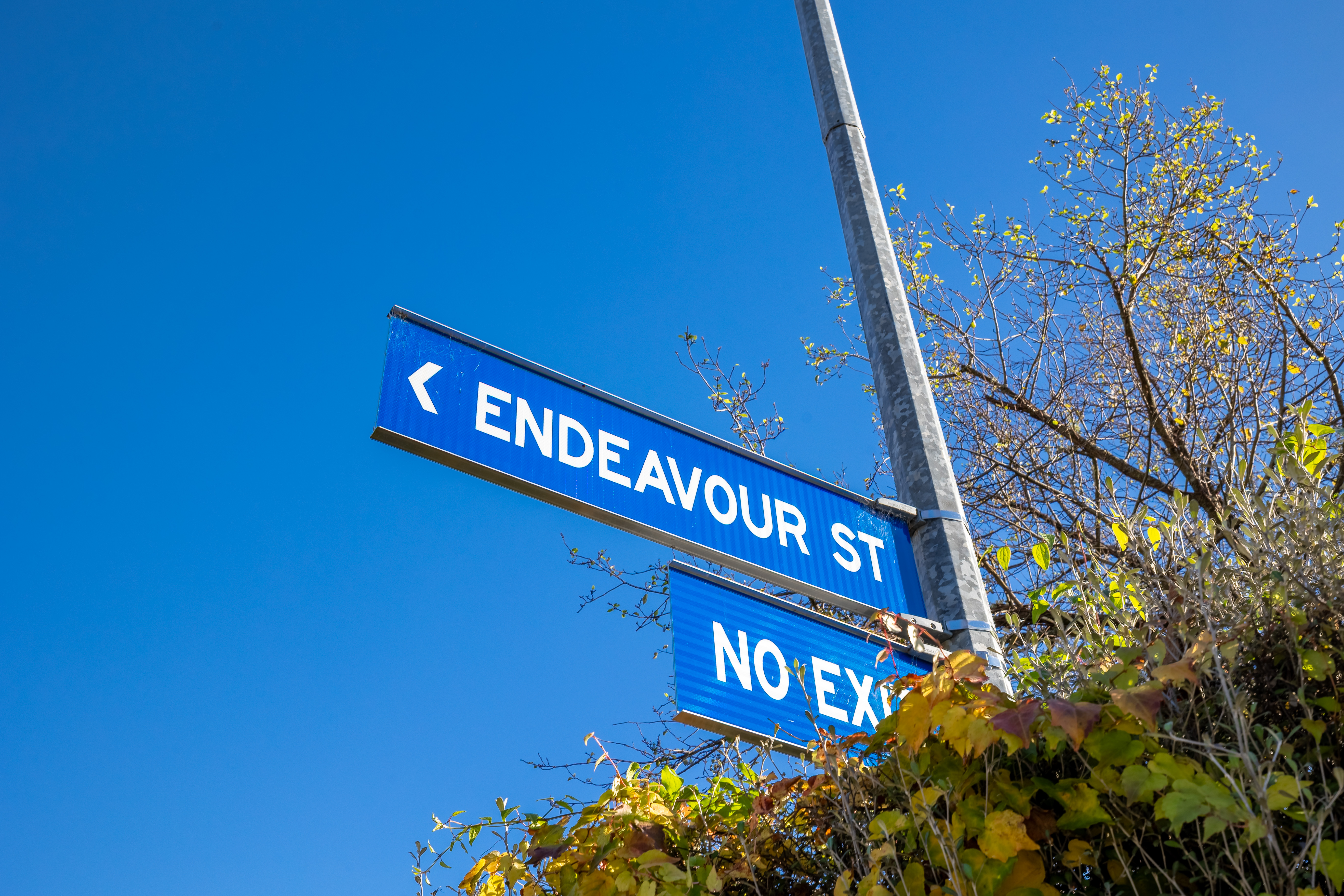 7 Endeavour Street — photo 11